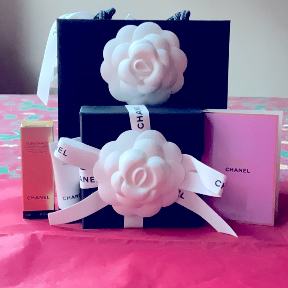 👜 CHANEL HANDBAG  BROOCH 👜 NWT 👜 - Picture 16 of 16
